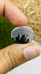 Natural Dendritic Agate Cabochon- Loose Stone for Wire Wrapping Jewelry Making-17X12mm