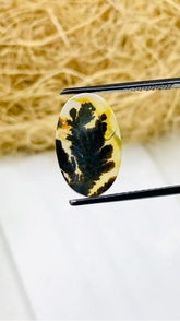 Natural Dendritic Agate Cabochon- Loose Stone for Wire Wrapping Jewelry Making-17x11 MM